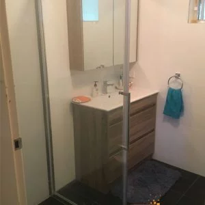 Best Bathroom Renovation Guy